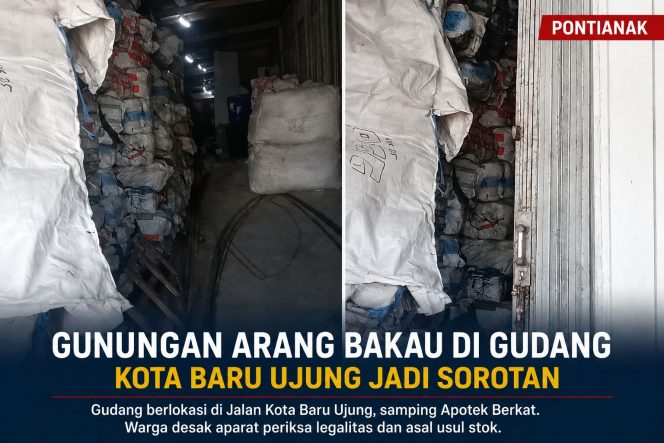 
 Gunungan Arang Bakau di Gudang Kota Baru Ujung Jadi Sorotan, Aparat Diminta Periksa Legalitas dan Asal Usul Stok