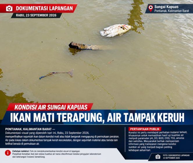 
 Air Kapuas Mengasin dan Ikan Ditemukan Mati, Warga Menanti Penjelasan Terkait Kualitas Air PDAM